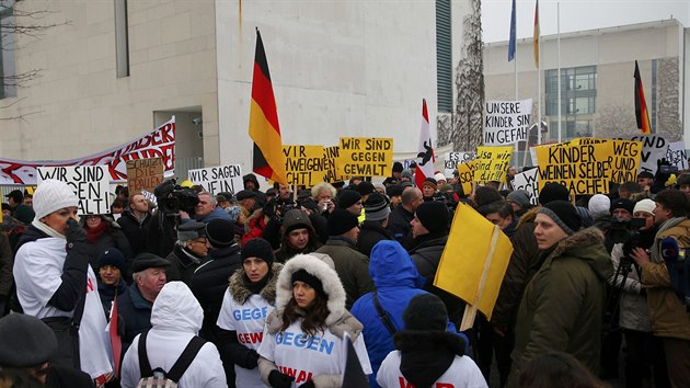 Demonstrace berlnskch Rus kvli dajnmu znsilnn tinctilet Lisy (23. ledna 2016)