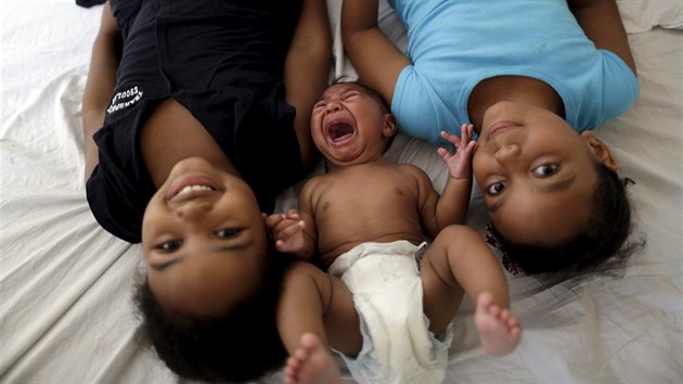 Od roku 2015 bylo v Brazlii zaznamenno 3893 ppad mikrocefalie u novorozenc.