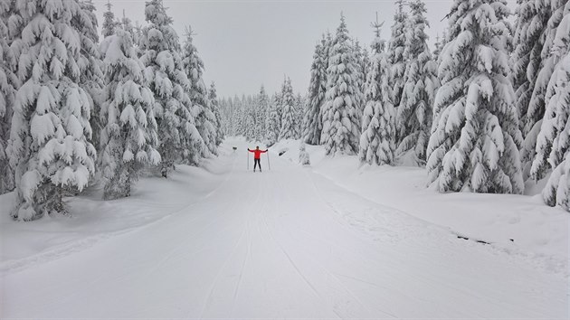 Bkovn v Jizerkch.