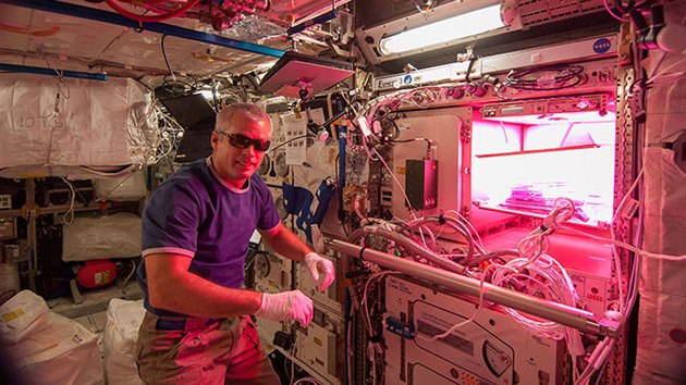 Astronaut Steve Swanson aktivuje 7. května 2014 červené, modré a zelené diody v pěstírně rostlin na ISS.