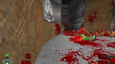 Brutal Doom