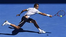 �eský tenista Luká� Rosol se natahuje po mí�ku v utkání 3. kola Australian Open