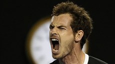 �EV FINALISTY. Britský tenista Andy Murray pro�ívá semifinále Australian Open,...