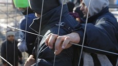 Migranti čekají na slovinsko-rakouské hranici (20.1.2016)