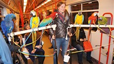 Náro�ný p�evoz ar� do Divadla na Vinohradech, kde vystupovali na Silvestra.