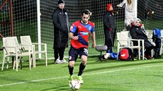 Plzeňský záložník David Štípek během přípravného zápasu proti Duisburgu