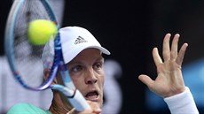 Tenista Tomá Berdych v utkání 2. kola s Mirzou Baiem