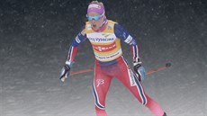 Norská bkyn na lyích Therese Johaugová na trati závodu na 10 kilometr...