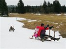 Zvody na sanch rohakch v Mal p na Trutnovsku.