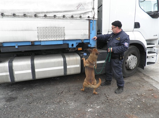 Tabák v kamionu odhalil policejní pes Don.