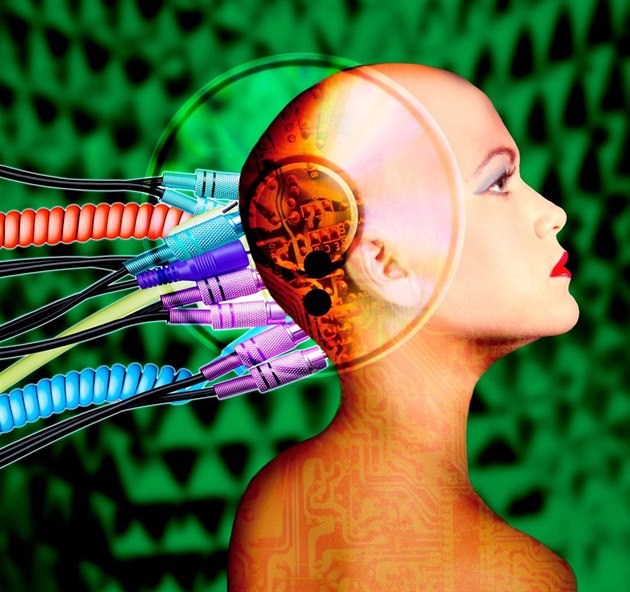 Um�lá inteligence (ilustra�ní foto)