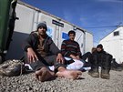 Benci v uprchlickém táboe u vsi Tabanovce na severu Makedonie (1. února 2016)