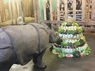 K dvouletému výroí dostala nosoroice poádný dort