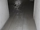 Poctivá devná podlaha v jedné z místností v pate karlínské Invalidovny.