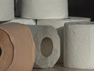 Test MF DNES toaletních papír