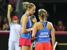 JAK TO UDLÁME? Karolína Plíková a Barbora Strýcová v deblovém utkání Fed Cupu...