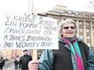 Demonstrace Za Evropu bez EU na Vítzném námstí v Praze. (6.2.2016)