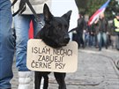 Demonstrace proti islamizaci Evropy a proti Evropské unii v Praze (6.2.2016)