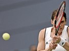 Nmecká tenistka Andrea Petkovicová a její plné soustední bhem duelu Fed...