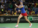Petra Kvitová bojuje v utkání 1. kola Fed Cupu proti Monice Niculescuové z...