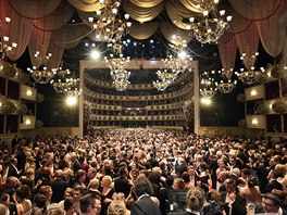 Rakouský Ples v Opeře
