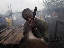 Haiti, trh, jatka