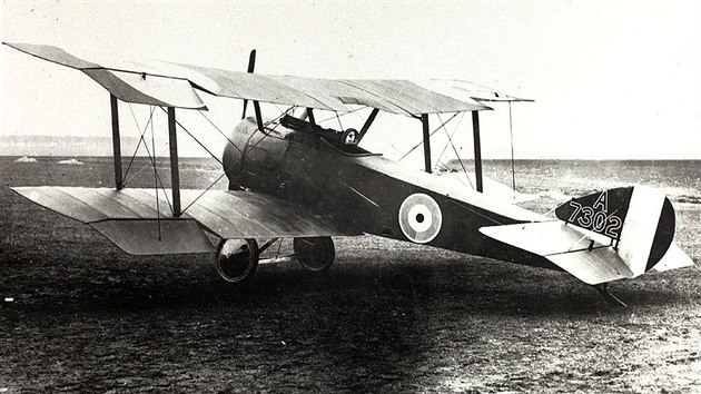 Britským příspěvkem pro boj s novými německými stíhačkami byl Sopwith Pup. Oproti následně nasazeným albatrosům měl výrazně menší hmotnost, výkon motoru a také poloviční výzbroj. Letovými výkony jim však byl rovnocenným soupeřem a v obratnosti je překonával.