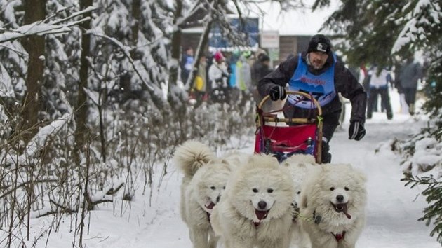 Musher Vojtch Nmec se svými psy.