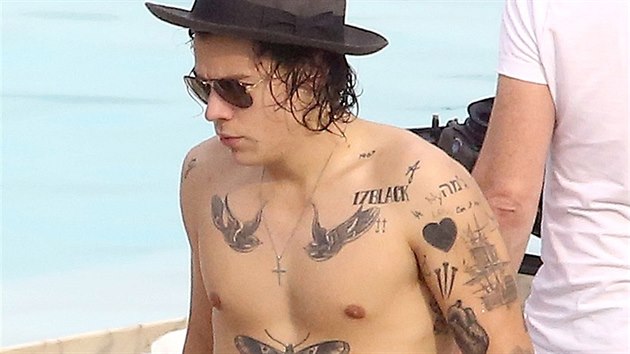 Harry Styles (Rio de Janeiro, 7. května 2014)