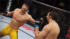 Bruce Lee v UFC 2