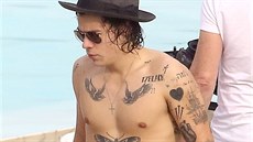 Harry Styles (Rio de Janeiro, 7. kvtna 2014)