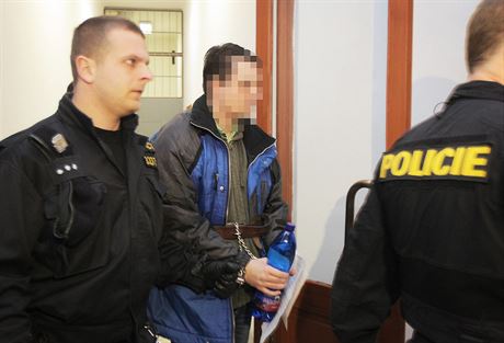 Policisté pivádjí Vlastislava A. na jednání Krajského soudu v Plzni. (11....