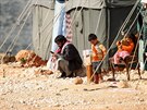 Uprchlický tábor na severu syrské provincie Idlíb (15. února 2016)