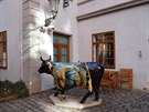 Kráva v etzové ulici 3 v Praze 1.