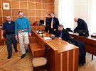 Pachatel u Krajskho soudu v Brn. (19. 2. 2016) 