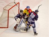 Hokejovému brankáři Filipovi Novotnému ve výhledu překáží českobudějovický hráč.