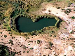 Jezero v Dalhousie Springs ve stát Jiní Austrálie. Oblast s více ne 60...