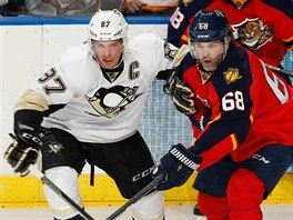 GENERAN SOUBOJ HVZD. Jaromr Jgr z Floridy (vpravo) a Sidney Crosby z...