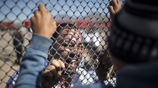 U plotu mezi Mexikem a Spojenými státy se během návštěvy papeže ve městě  Ciudad Juárez sešly rozdělené rodiny (17. února 2016)