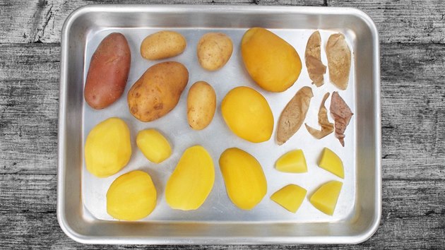 Porovnn rznch typ brambor podle sezony, ve kter jsou k dostn