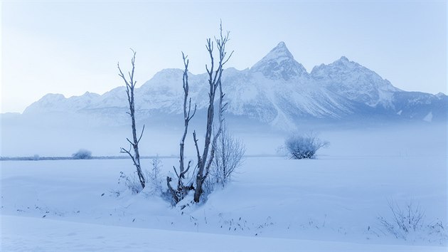 Chladn mlhav rno u Ehrwaldu. Vrcholu Sonnenspitze se slunen paprsky zanou dotkat a odpoledne. Pohled je vyfotografovn z jedn z ndhern upravench zimnch pch turistickch stezek. 