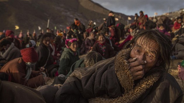 Fotograf Kevin Frayer z Getty Images fotil kadoron shromdn tibetskch koovnk u msta Sertar (31. jna 2015). Za svou srii byl ocenn druhou cenou v kategorii Kadodenn ivot.