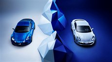 Alpine Vision Concept