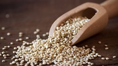 Semínka merlíku čilského se prodávají pod názvem quinoa. V této podobě se...
