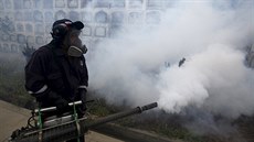 Zdravotník v Peru dezinfikuje h�bitov, aby zamezil mno�ení komár� �í�ících...