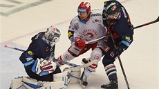 Liberecký gólman Marek Schwarz se sna�í zastavit úto�né choutky Vladimíra...