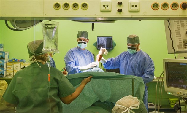 Zrekonstruované chirurgické oddlení Fakultní nemocnice v Plzni na Borech. (22....