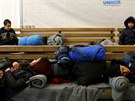 Benci spí pi ekání na vlak ve stanici v  makedonském mst Gevgelija. (20....