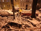V Budeské ulici na Vinohradech zdemoloval spadlý strom manelm Krajovým...