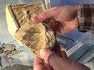 V eskolipském muzeu objevili stovky let starý otisk ruky hrníky